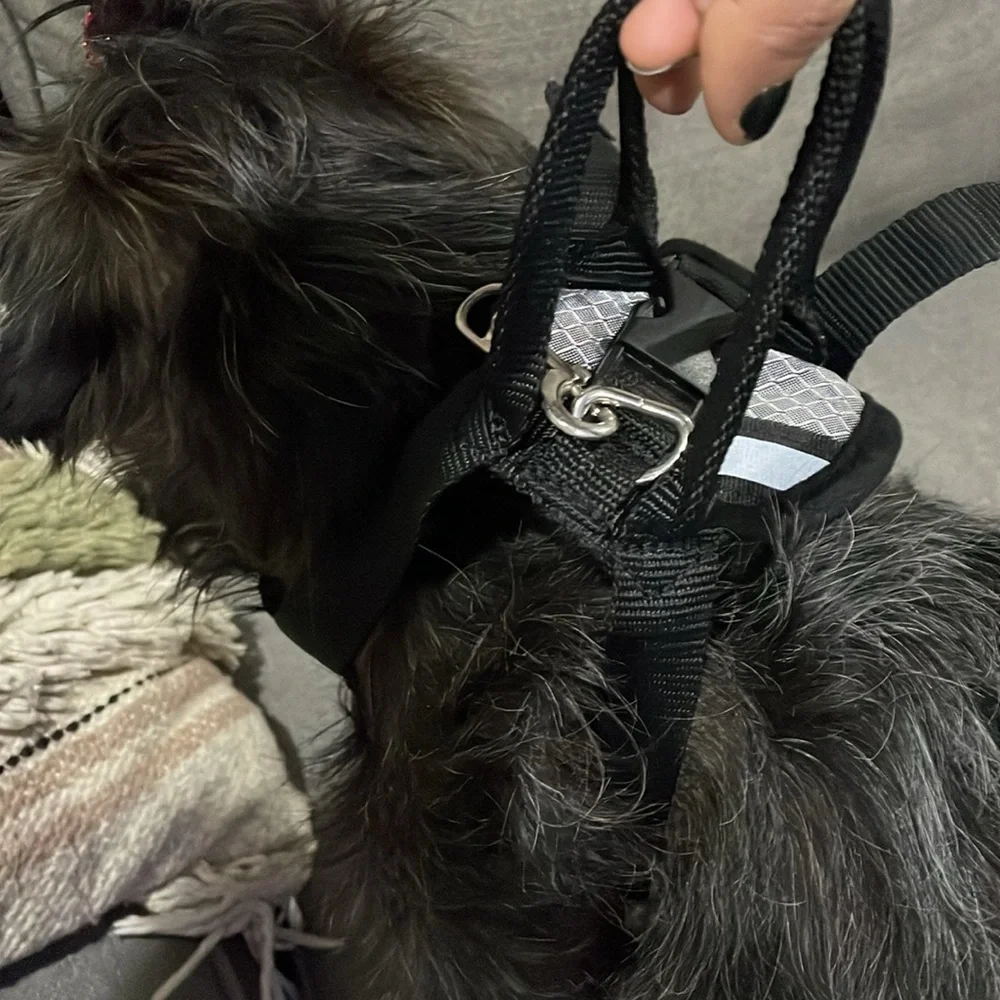 Top paw Black and Gray Harness Travel Harness with handles